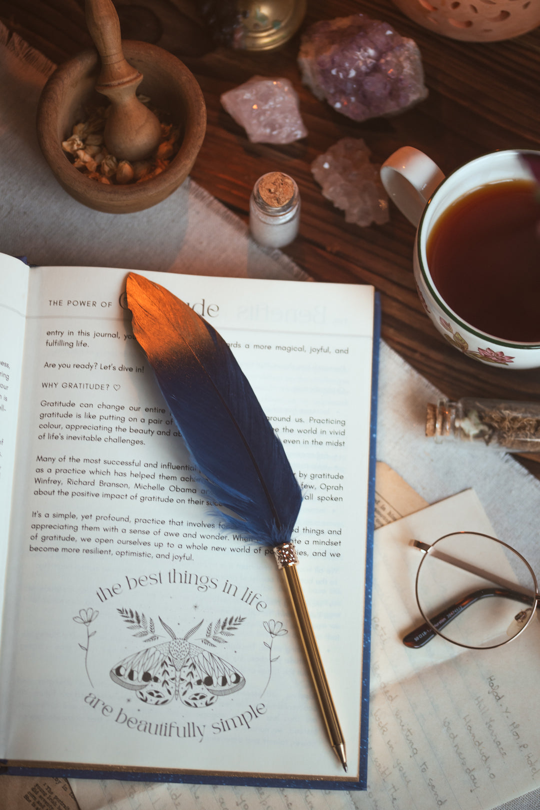 Feather Pen - Navy Blue and Gold