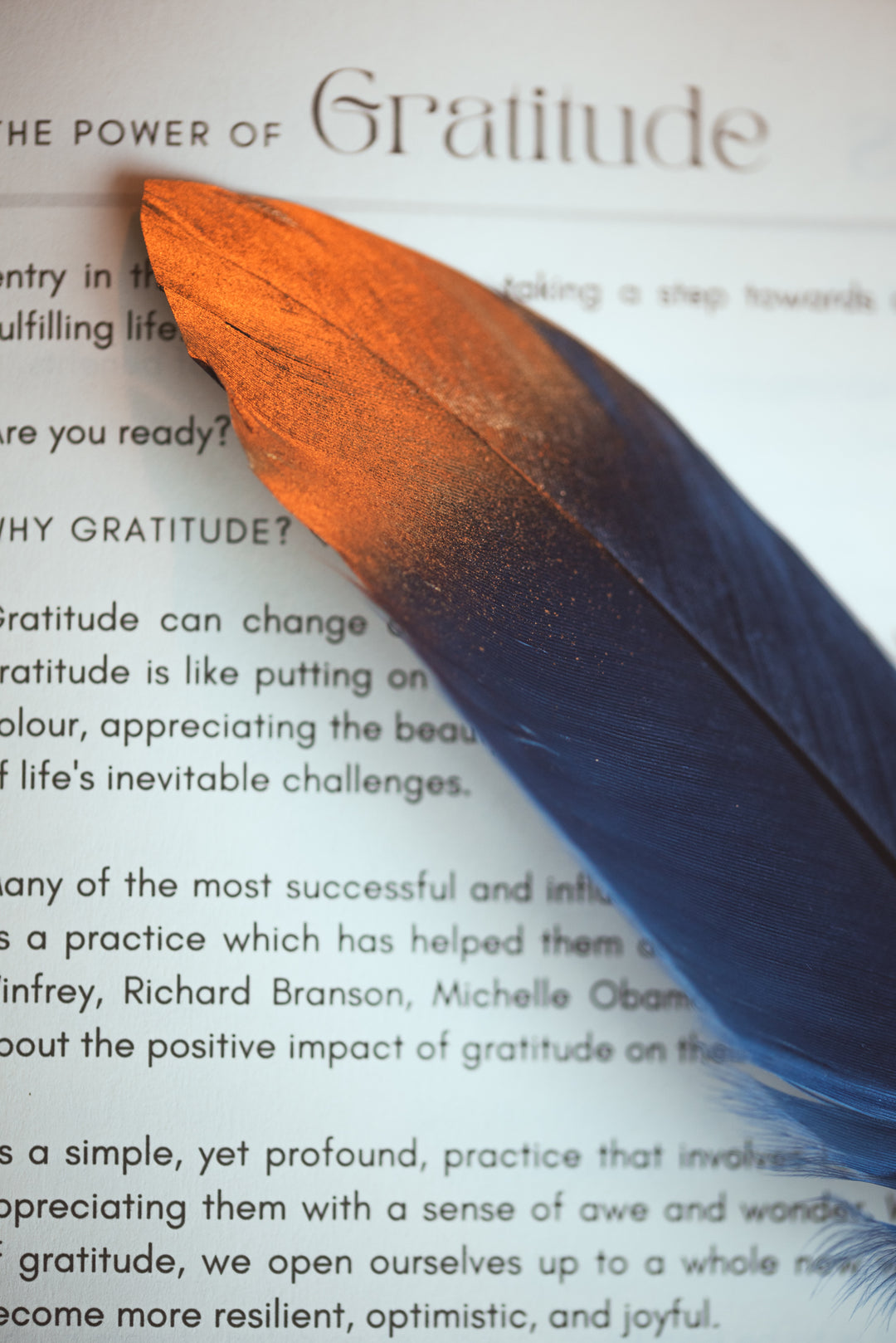 Feather Pen - Navy Blue and Gold