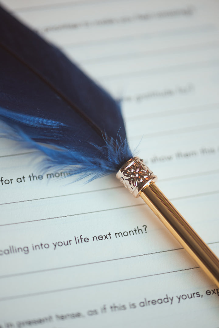 Feather Pen - Navy Blue and Gold