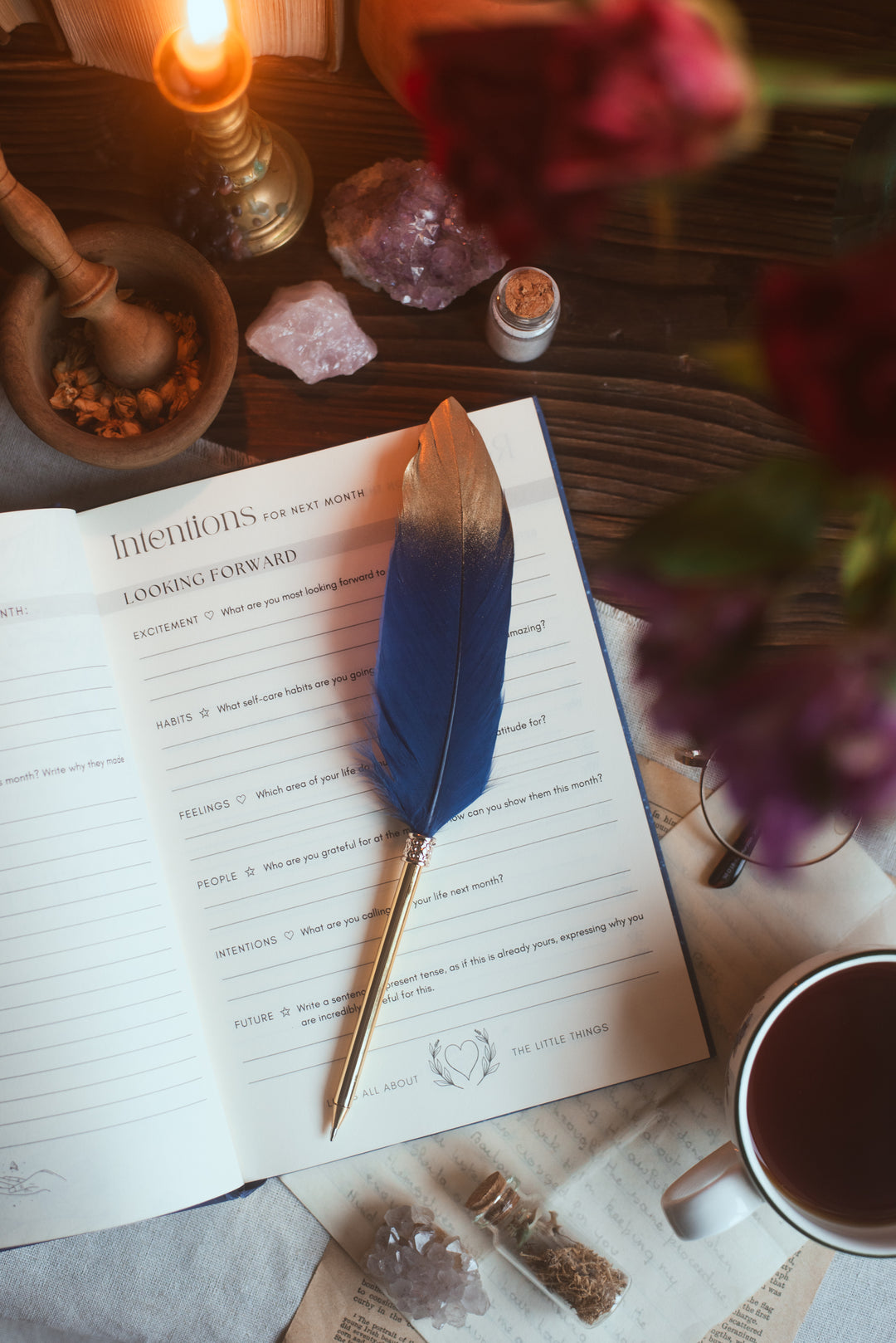 Feather Pen - Navy Blue and Gold