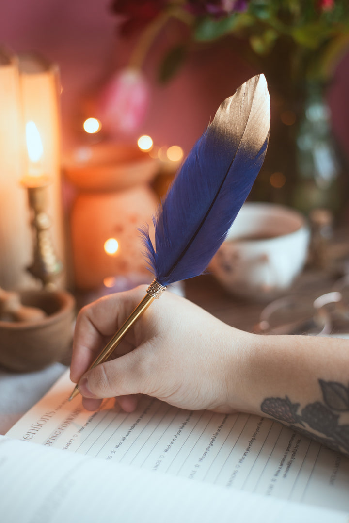 Feather Pen - Navy Blue and Gold