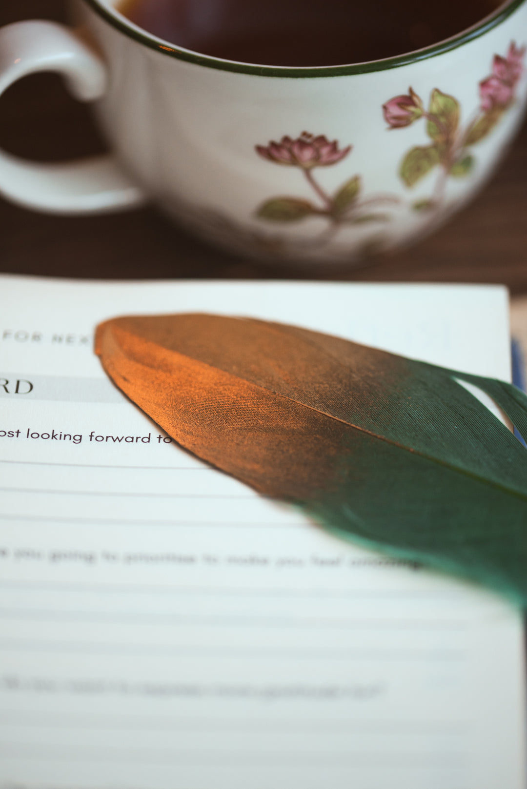 Feather Pen - Green and Gold